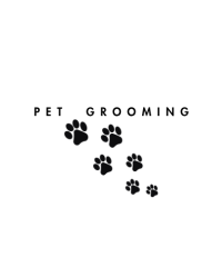 Pet Grooming 🐾