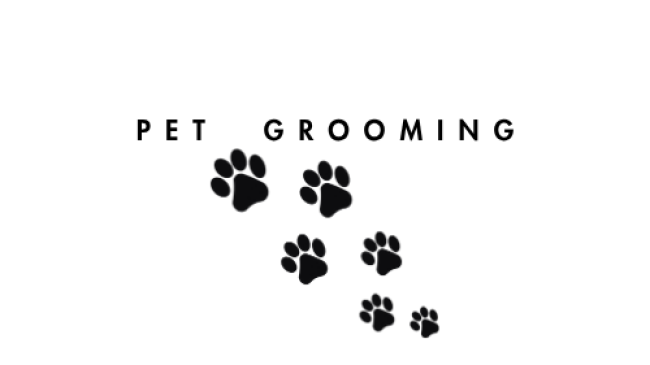 Pet Grooming 🐾