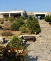 Μουσείο Φυσικής Ιστορίας Απολιθωμένου Δάσους